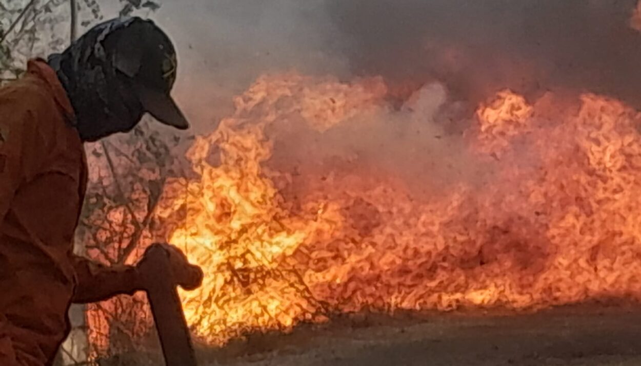 Yucatán tendrá temperaturas máximas de 40° a 45°C en mayo. Llama Procivy a adoptar precauciones.