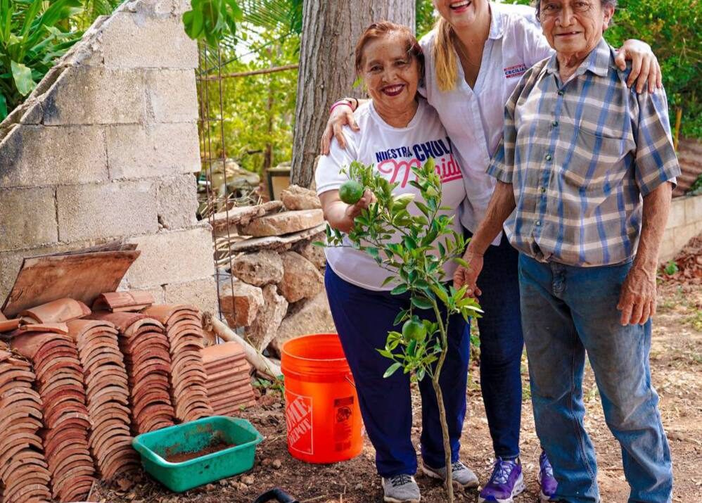 Vamos por la arborización más grande en Mérida, Cecilia Patrón. 