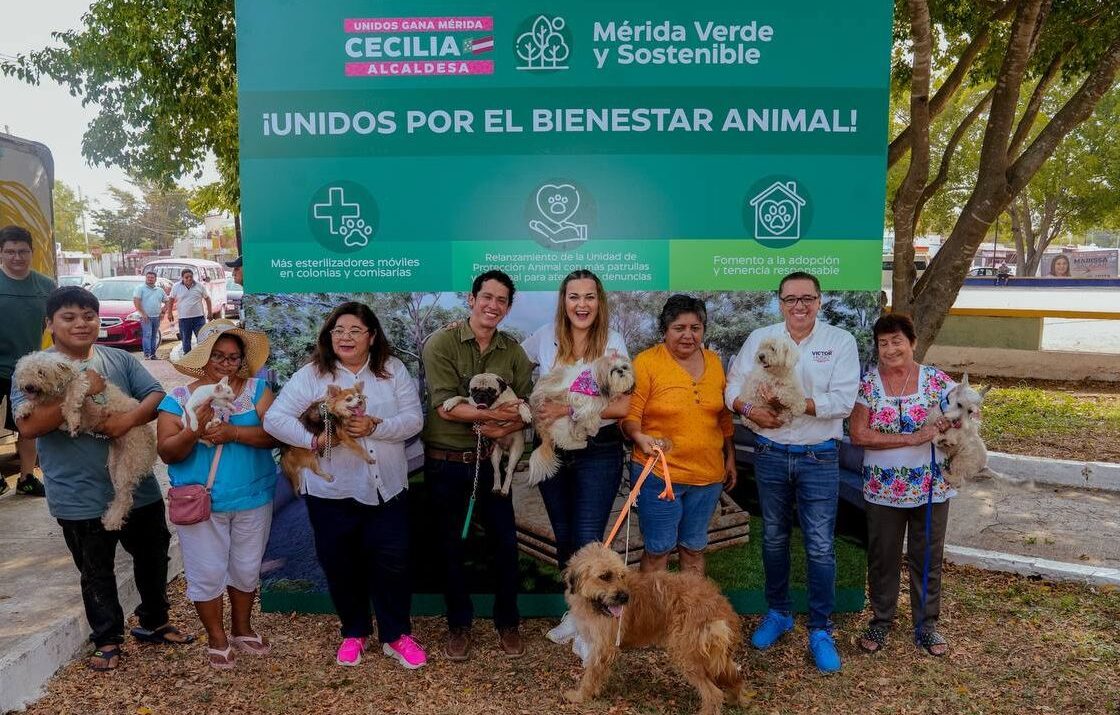 Bienestar Animal de la mano de todos los meridanos: Cecilia Patrón.