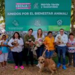 Bienestar Animal de la mano de todos los meridanos: Cecilia Patrón.