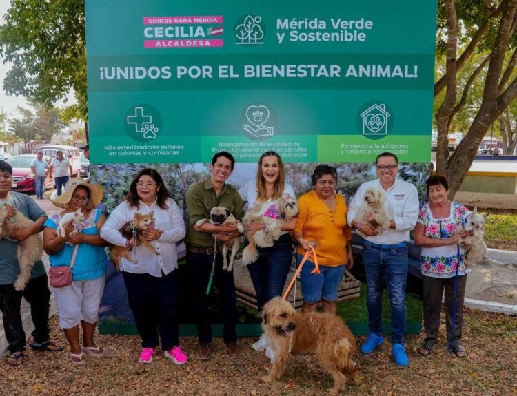 Bienestar Animal de la mano de todos los meridanos: Cecilia Patrón.