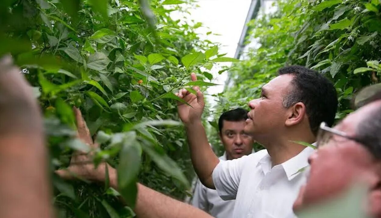 Rolando Zapata se compromete a impulsar la reforestación en Yucatán