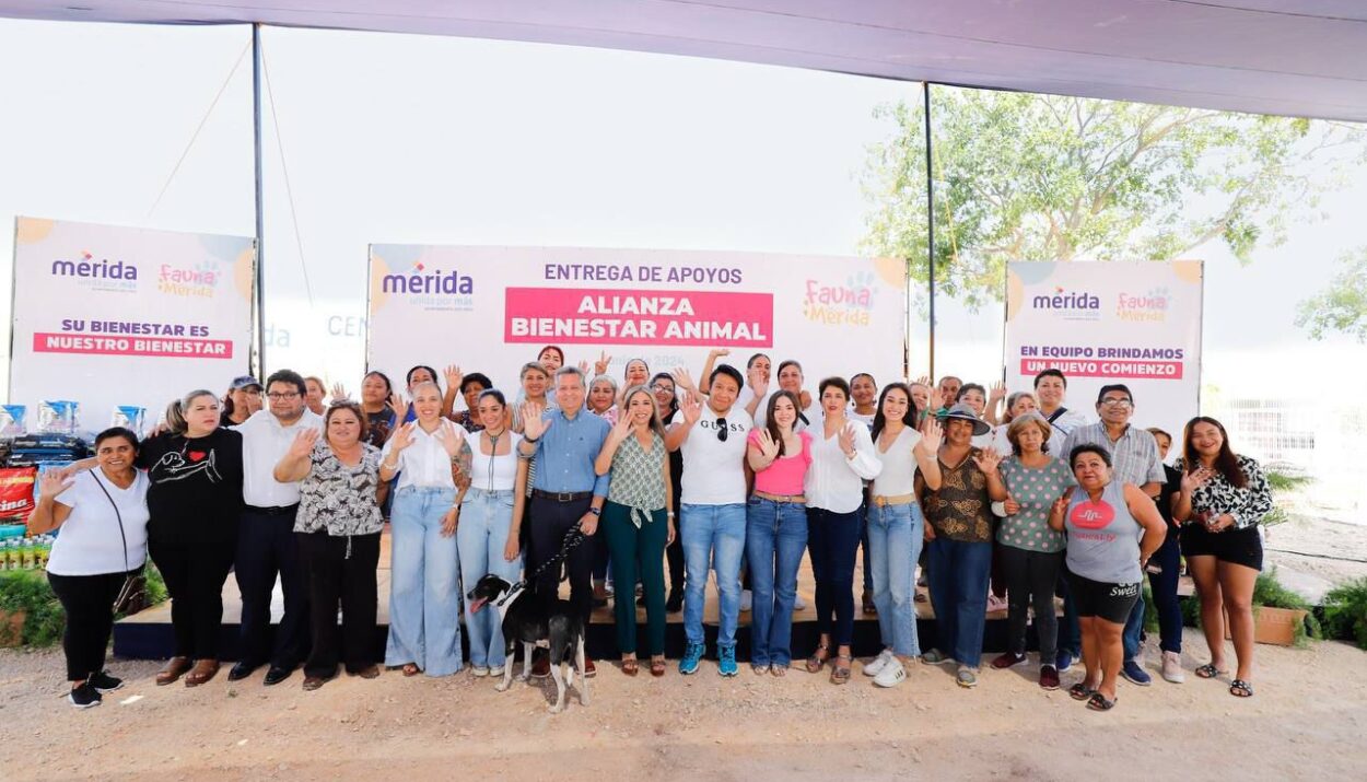 El Ayuntamiento de Mérida fortalece el bienestar animal en el Municipio