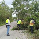 TRABAJA SICT EN AFECTACIONES A TRAMOS CARRETEROS EN SEIS ESTADOS A CAUSA DE FUERTES LLUVIAS