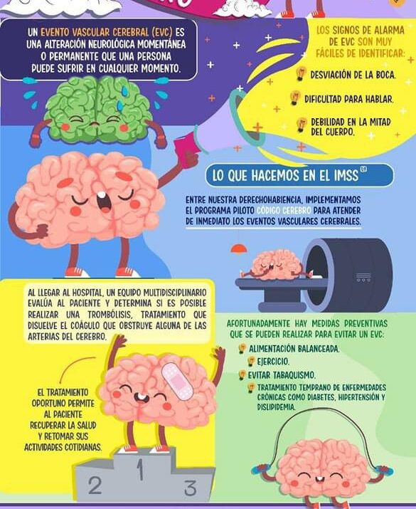 Informa IMSS Yucatán sobre “Código Cerebro” para prevenir y atender oportunamente un EVC