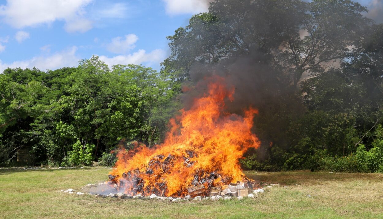 Encabezan FGE y FGR incineración de narcóticos