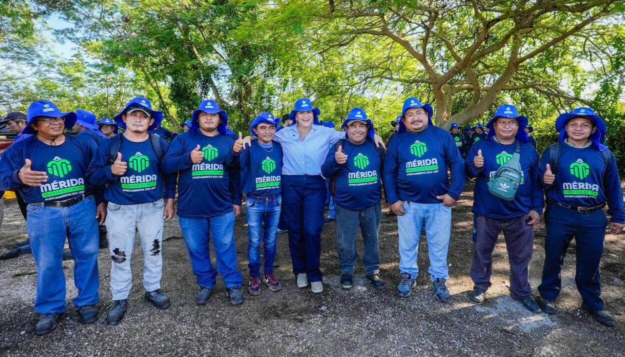 54% más bacheo en los primeros 13 días de administración en Mérida: Cecilia Patrón